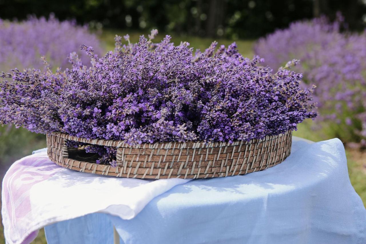 Lavender Village Kiemeliai Εξωτερικό φωτογραφία