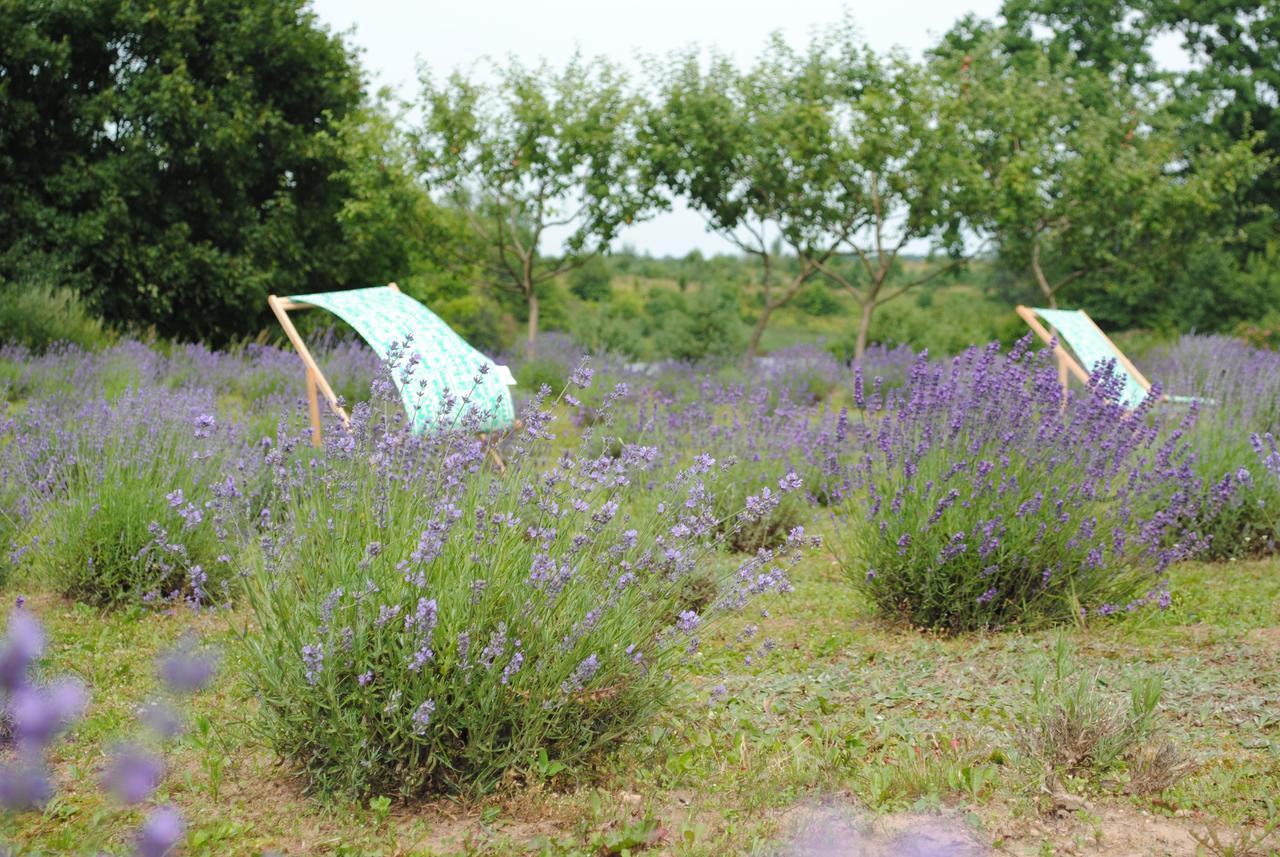 Lavender Village Kiemeliai Εξωτερικό φωτογραφία