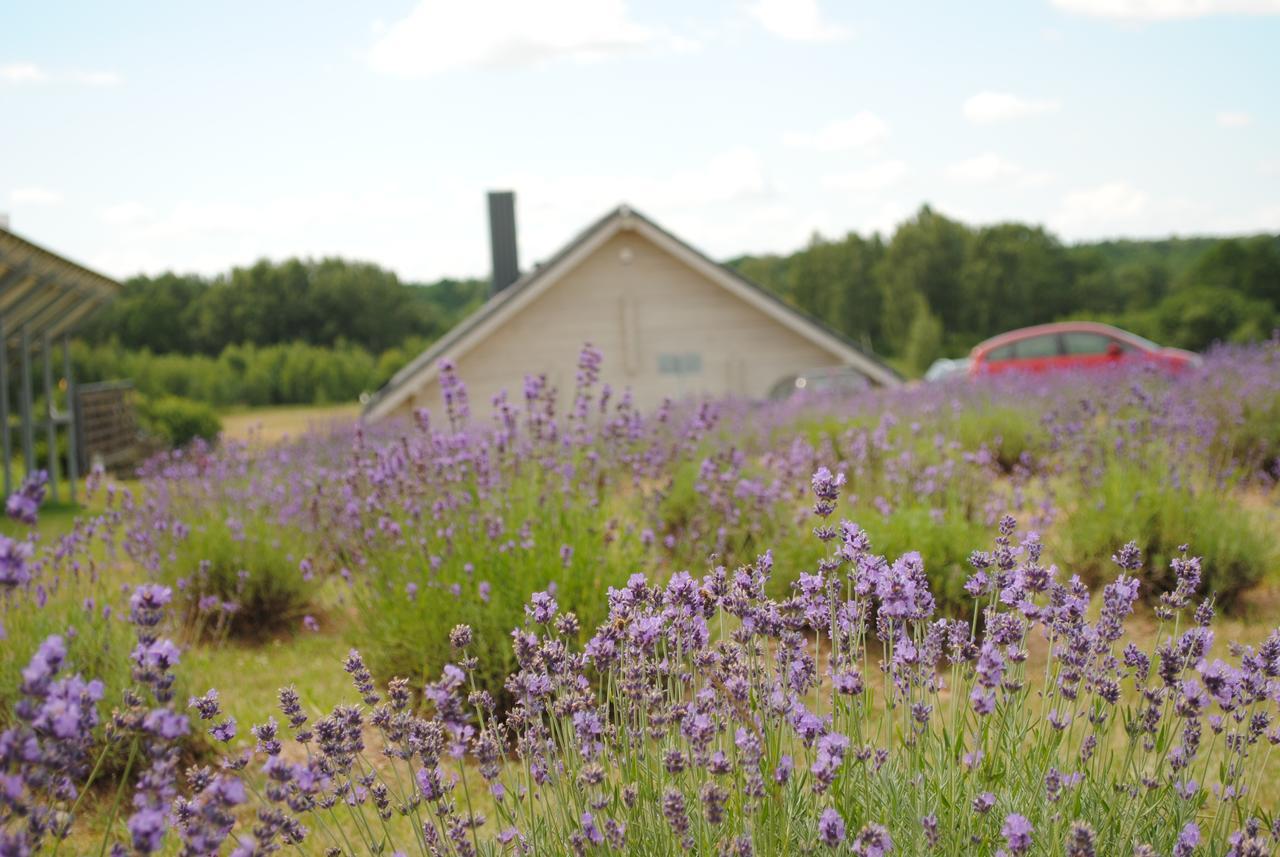 Lavender Village Kiemeliai Εξωτερικό φωτογραφία