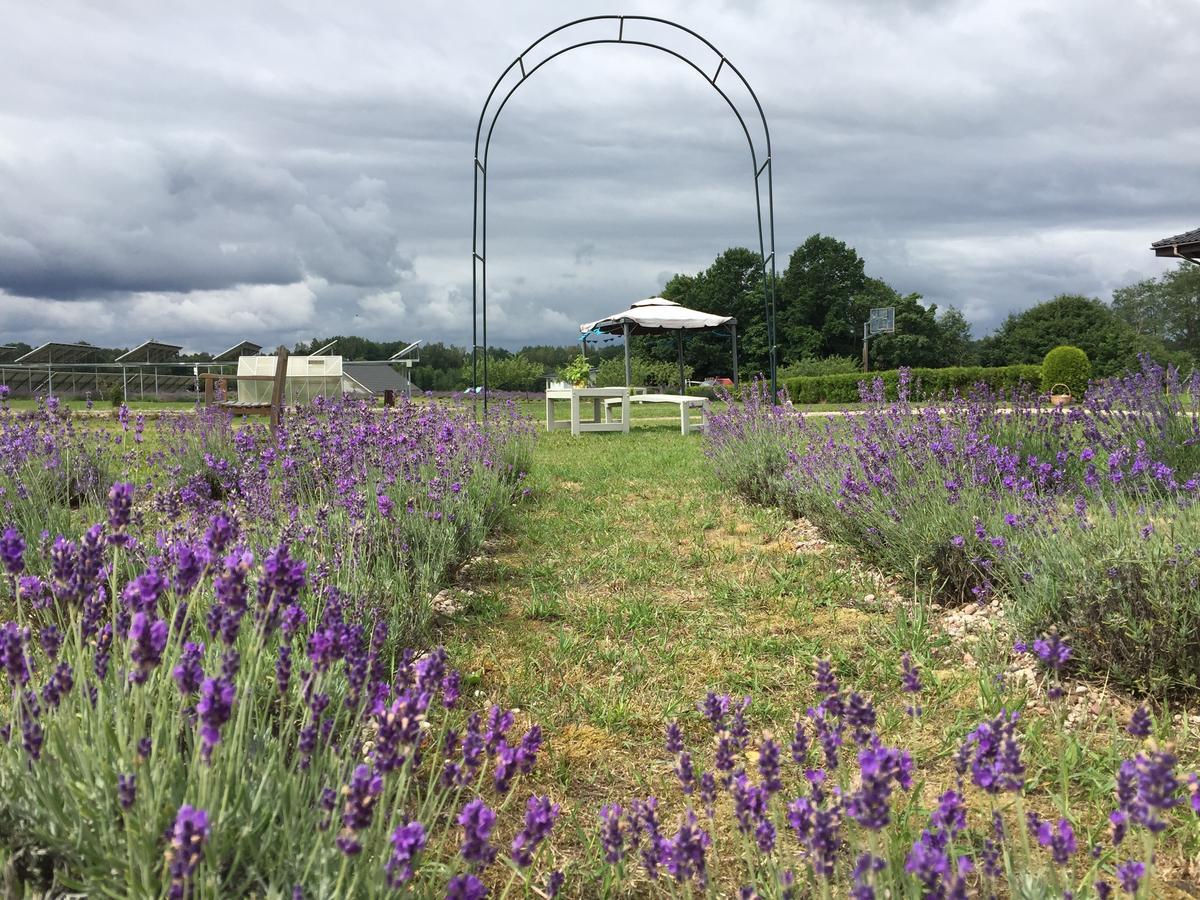 Lavender Village Kiemeliai Εξωτερικό φωτογραφία