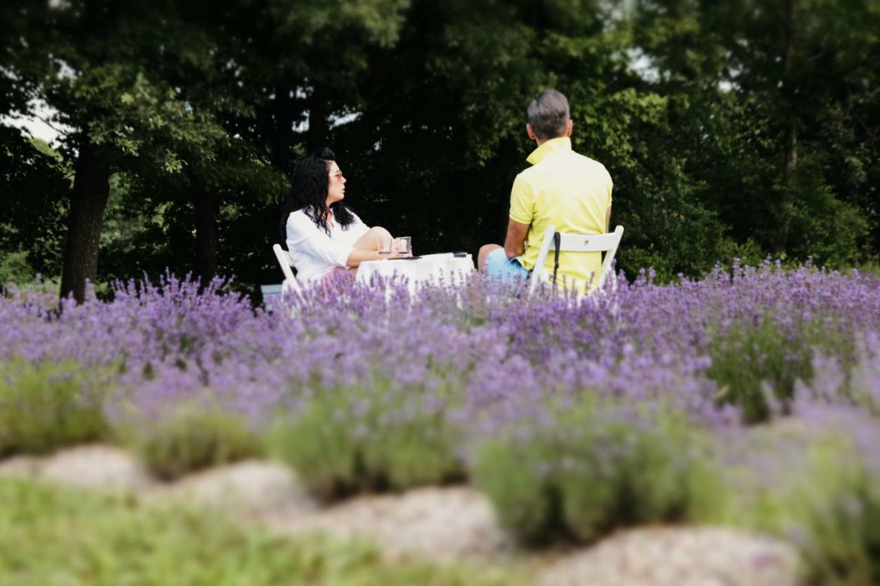 Lavender Village Kiemeliai Εξωτερικό φωτογραφία